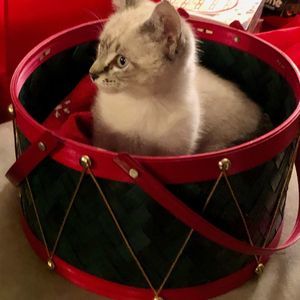 Meet your Posher, Larry